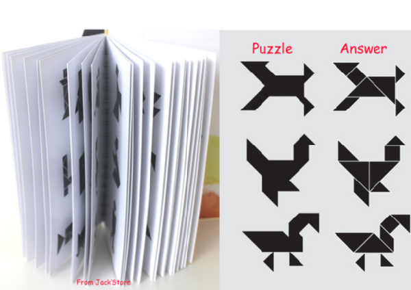 Tangram 150 Puzzles Livre Magnétique